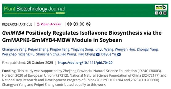 图形用户界面, 文本, 应用程序描述已自动生成